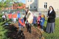 10 listopada 2020 - Projekt edukacyjny “Drzewa w czterech porach roku”- Wsadzanie drzewka w ogrodzie przedszkolnym- sosna